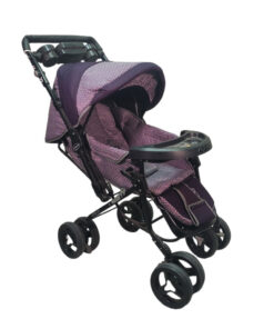 کالسکه تک دلیجان طرحدار چیکو