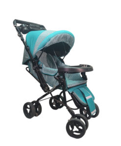 کالسکه تک دلیجان طرحدار چیکو